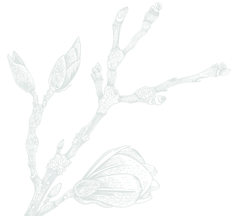 contact-the-magnolia